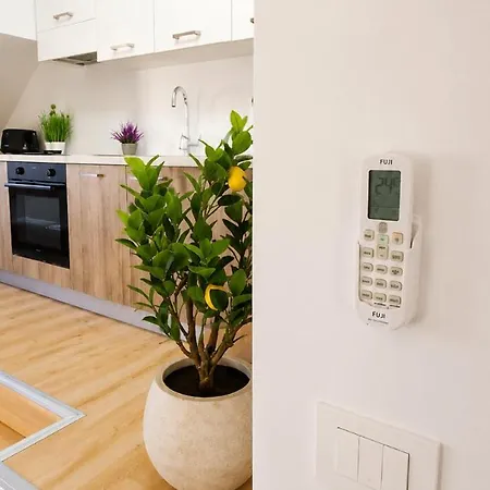 Apartment Valora Vrhnika